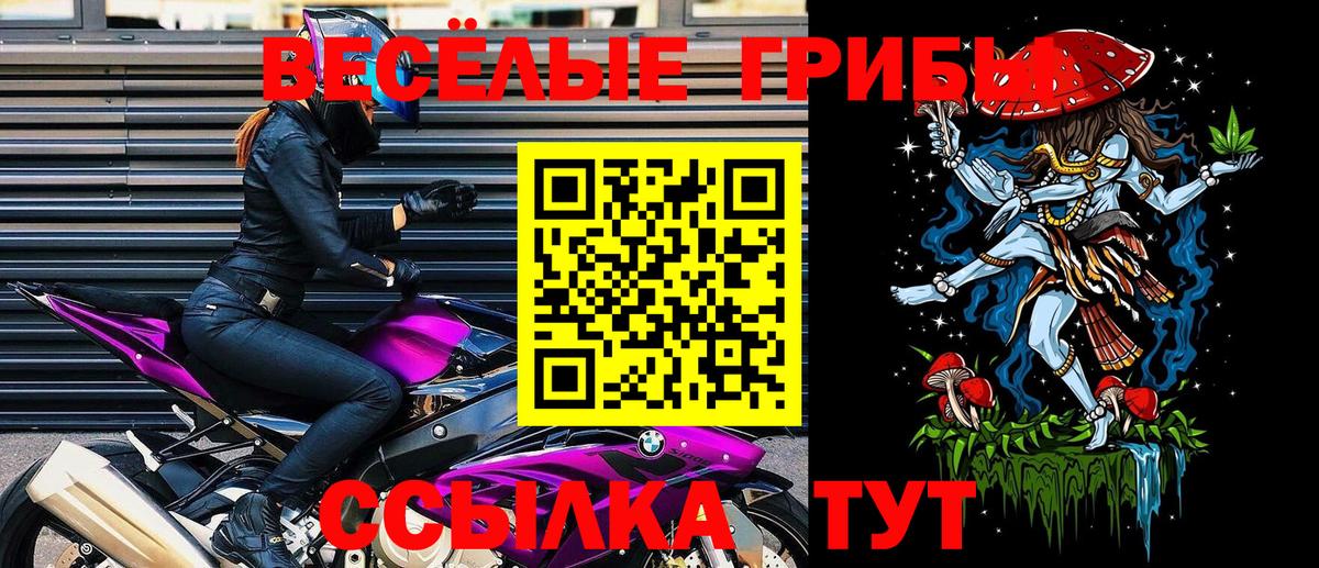 Псилоцибиновые грибы мухоморы Ржев